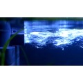 OASE EcoFlow 200 Filtr Wewnętrzny Modułowy do Akwarium do 200l 650l/h