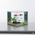 AQUAEL LEDDY MINI 35 Akwarium 35x18x30cm 19l