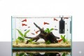 AQUAEL Akwarium ULTRASCAPE 60 60x30x36cm 65L Opti White