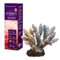 Aquaforest Energy 10ml Suplement Pokarmu dla Koralowców