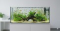 Aquael akwarium proste 41x25x25cm 25L
