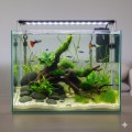 AQUAEL LEDDY MINI 30 Akwarium 28x15x30cm 12,6l