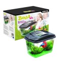 AQUAEL BETTA KIT AKWARIUM DLA BOJOWNIKA