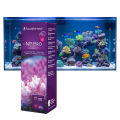 Aquaforest NP Pro Polimery w Płynie 10 ml - Pożywka Dla Bakterii Probiotycznych
