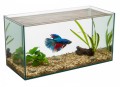 AKWARIUM PROSTE 105L 75x35x40 5mm Aquael
