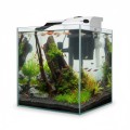 AQUAEL Fish &amp; Shrimp Set Duo 35 2.0 Białe - Krewetkarium 49L z Wyposażeniem Plant&amp;Night LED