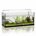 AQUAEL LEDDY Slim Sunny 32W BELKA LED 2.0 80-100cm Biała