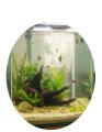 AQUAEL AQUA DECORIS GRUNT PODŁOŻE MINERALNE 1,25kg