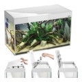 AQUAEL GLOSSY ST 80 Akwarium Białe 125L 80x35x54cm Zestaw Safe Tank Day&amp;Night