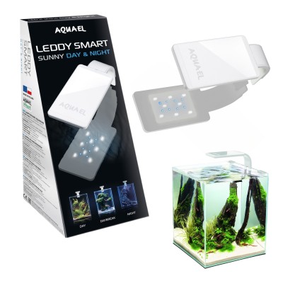 AQUAEL LEDDY SMART Day&amp;Night Belka LED Biała 4,8W