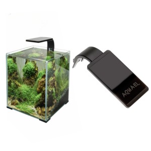 AQUAEL LEDDY SMART Day&Night Belka LED Czarna 4,8W