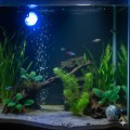 Lampka Aquael Moonlight LED