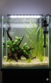 AQUAEL PLATINIUM HEATER 50W