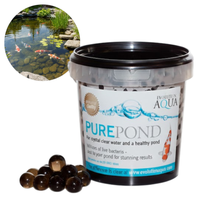 Evolution Aqua PURE Pond Balls Czarne Kulki Czysta Woda w Oczku Wodnym Bakterie 1000ml
