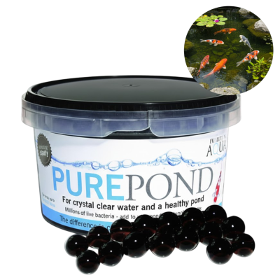 Evolution Aqua PURE Pond Kulki Czysta Woda w Oczku Wodnym Bakterie 500ml