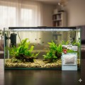 AQUAEL MAGIC ALGAE STOP – Skuteczny Wkład Na Glony