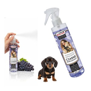 Super BENEK Neutralizator Zapachów Oświeżacz Powietrza Spray Czarne Winogrono 250ml