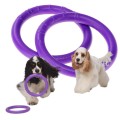 Collar Puller Mini 18cm Zestaw Ring do Ćwiczeń dla Psów Małych Ras