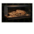 Exo Terra Terrarium Pro S Szklane Dla Gadów Jaszczurki 45X45X60CM