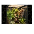 Exo Terra Terrarium Pro XS Szklane 30X30X45 CM Dla Gadów Jaszczurki