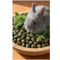Cunipic Alpha Pro Rabbit Pokarm dla Królików Doroslych 1,75kg