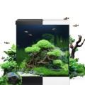 Juwel Vio Akwarium Zestaw Cube 54L Białe 41×36×47cm