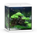 Juwel Vio Akwarium Zestaw Cube 54L Białe 41×36×47cm