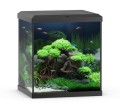 Juwel Vio Akwarium Zestaw Cube 54L Czarne 41×36×47cm