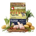 ONTARIO PUPPY MINI CHICKEN&POTATOES 2,25KG Karma dla Szczeniąt Psów Małych Ras z Kurczakiem i Ziemniakiem 2,25KG