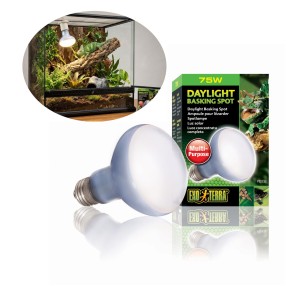 Exo Terra Daylight Basking Spot 75W Żarówka dzienna do Terrarium