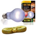 Exo Terra Daytime Heat Lamp 100W Żarówka dzienna do Terrarium