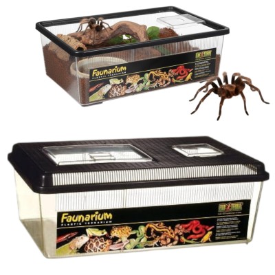 Exo Terra FAUNARIUM LARGE - 46 x 30 x 17 cm PT2310