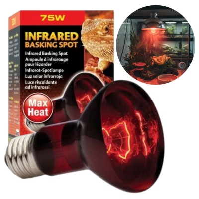 EXO TERRA Infrared Basking Spot R20 / 75W Podczerwona Żarówka Grzewcza do Terrarium