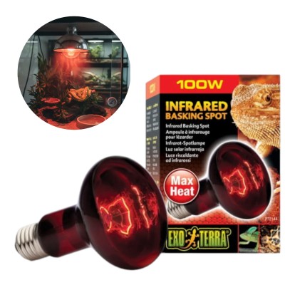 EXO TERRA HEAT GLO R25/100W ŻARÓWKA DO TERRARIUM