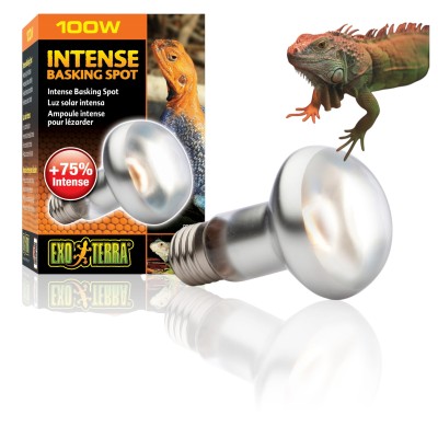 Exo Terra Intense Basking Spot 100W Żarówka dzienna grzewcza do Terrarium