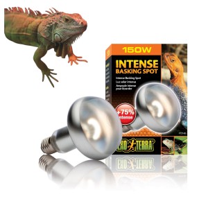 Exo Terra Intense Basking Spot 150W Żarówka dzienna grzewcza do Terrarium