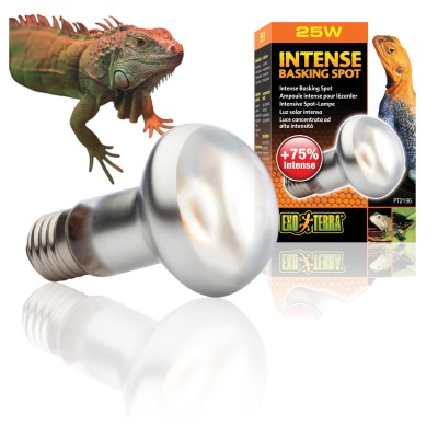 Exo Terra Intense Basking Spot 25W Żarówka dzienna grzewcza do Terrarium