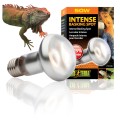 Exo Terra Intense Basking Spot 50W Żarówka dzienna grzewcza do Terrarium
