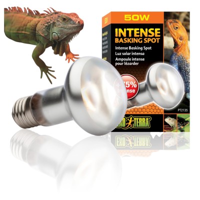 Exo Terra Intense Basking Spot 50W Żarówka dzienna grzewcza do Terrarium