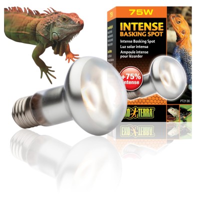 Exo Terra Intense Basking Spot 75W Żarówka dzienna grzewcza do Terrarium
