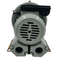 SunSun HG-120-C Wydajna Pompa Wirnikowa Napowietrzacz 120W 21m2/h do Stawu Oczka