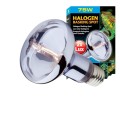 EXO TERRA SUN GLO 75W ŻARÓWKA GRZEWCZA DZIENNA DO TERRARIUM