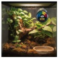 EXO TERRA TERMOMETR DO TERRARIUM ŚR. 5,5CM