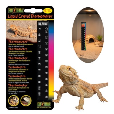 Exo Terra Termometr Paskowy Przyklejany Do Terrarium 20-42 st. C