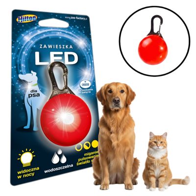 Hilton Świecąca LED Zawieszka Do Obroży dla Psa Kota