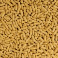 TETRA POND STICKS 7L Pokarm Podstawowy Dla Ryb Stawowych