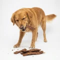 Comfy Appetit Meat Bliss Koza 100G Mięsne Paski Naturalny Przysmak