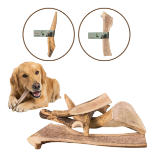 HAPP NATURAL Gryzak z Poroża Jelenia rozm. L EASY