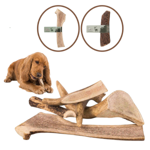 HAPP NATURAL Gryzak z Poroża Jelenia rozm. M EASY