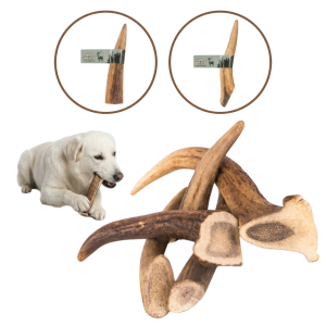 HAPP NATURAL Gryzak z Poroża Jelenia rozm. M HARD